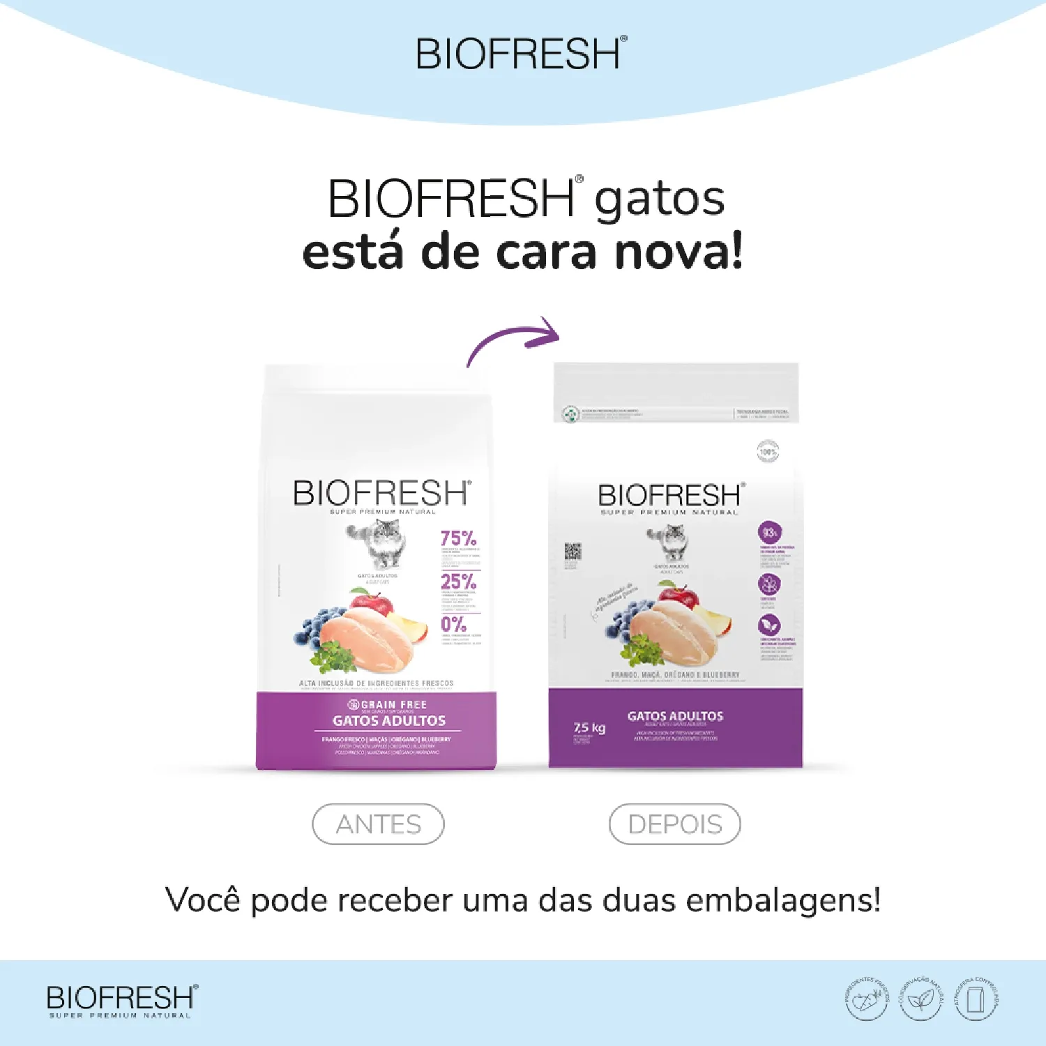 Racao Biofresh Gatos Adultos Frango-04